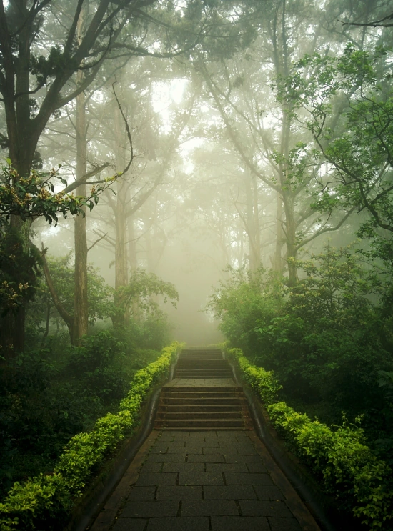 Path of steps