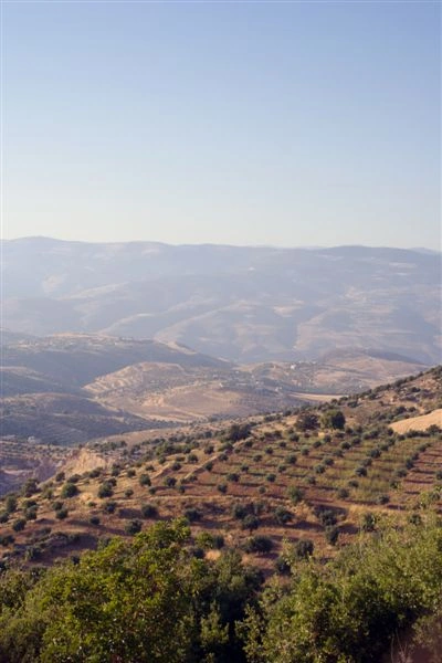 The hills of Gilead, east of the Jordan River.