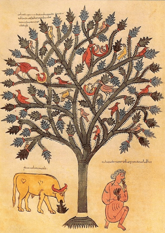 Nebuchadnezzar Dreamed of a Great Tree - an illumination from Beatus of Liebana’s  Commentary on the Apocalypse, Spain, 926 AD.